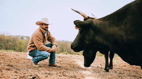 Origins of Wagyu Beef - KC Cattle Company